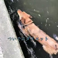 のびのびと遊びます