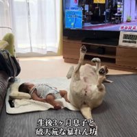 「私のことも構って～」