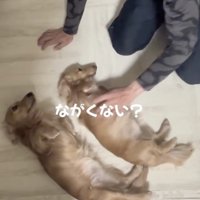 「だいぶ聞きましたよ」