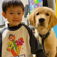 並ぶ幼い男の子とゴールデンレトリバーパピー