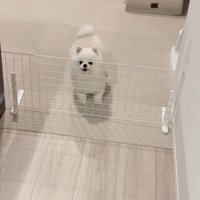 お出迎えの準備万端