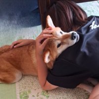 別れ