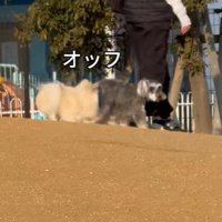 顔面がおしりに接触