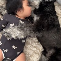 平和な光景にほっこり♪