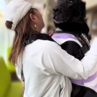 「抱っこして」
