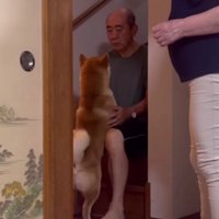 おじいちゃんの家に行ったら…