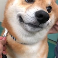 治療が終わったれお君