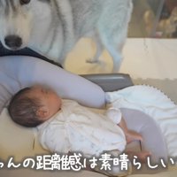 子守りを始めたもんちゃん