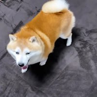 お散歩から帰ってきたら…