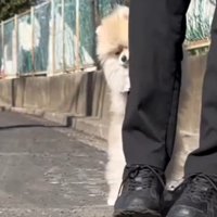 小さな園児のよう