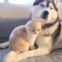 本当の親子みたい…♡