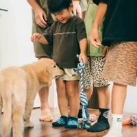 子犬を見つめる子供たち