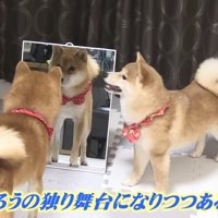 「今日もかっこいい…」