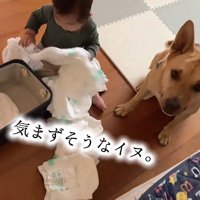 「ダメって言ったよ…？」