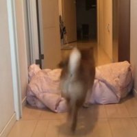 さっきまでいた人が消えた！