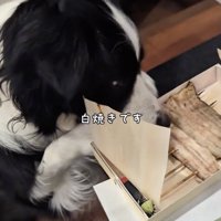 美味しそう…