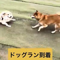 ウキウキで遊んでいます♪
