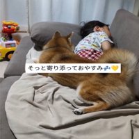 寄り添って眠る男の子と犬