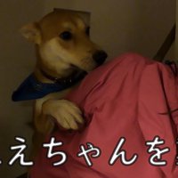 お姉ちゃんに甘えて…