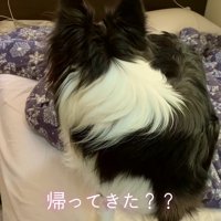 「もしかしてパパが帰ってきた！？」