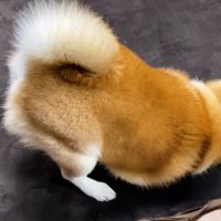 穴を掘るようにアガアガ