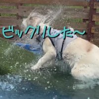 とりあえずブルブル