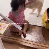 おもちゃの取り合いに