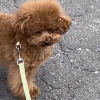 下を向いてみたり