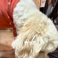 「やった！！」