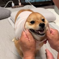 頭から服をかぶせる