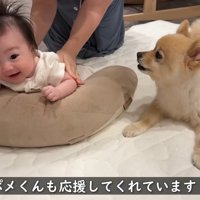 本当のお兄ちゃんのような姿にほっこり