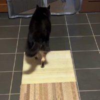 猫背の体勢で玄関へ