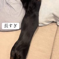 想像以上の長さ！！