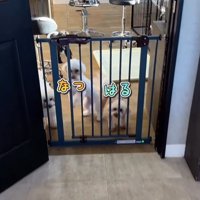 はるちゃん＆なつちゃんのお迎え2