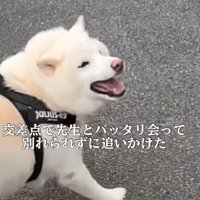 パッと笑顔に♡