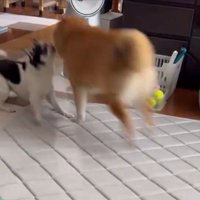 その瞬間