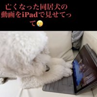 「ルイコお姉ちゃん…！」