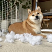 いたずら