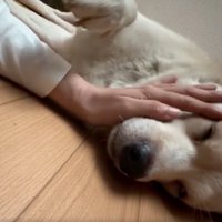 トントンが止むと…