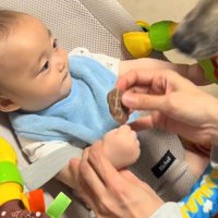 赤ちゃんの手におやつを持たせる飼い主