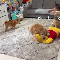 うにくんとほのちゃんが…