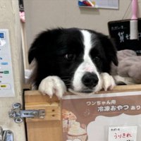 両手