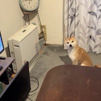 「言いたいことがあります」