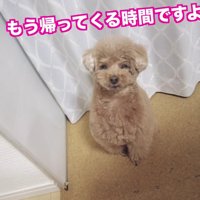 パパが帰ってこない…