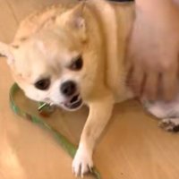 大興奮でご挨拶♪