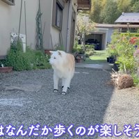 再び散歩へ出発