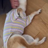 お客さんをお出迎え