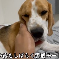 小さな子どものよう♡