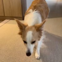 名演技のソラくん