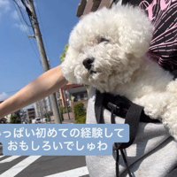 初めての経験がたくさん！